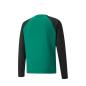Preview: TuS GWP - teamLIGA Training Sweat - grün/schwarz